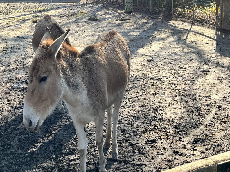 23-02-13 13-54-21 4204